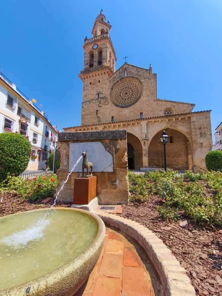 💙 Vuelve el Cervatillo a San Lorenzo después de 40 años de ausencia...

#CórdobaEsp