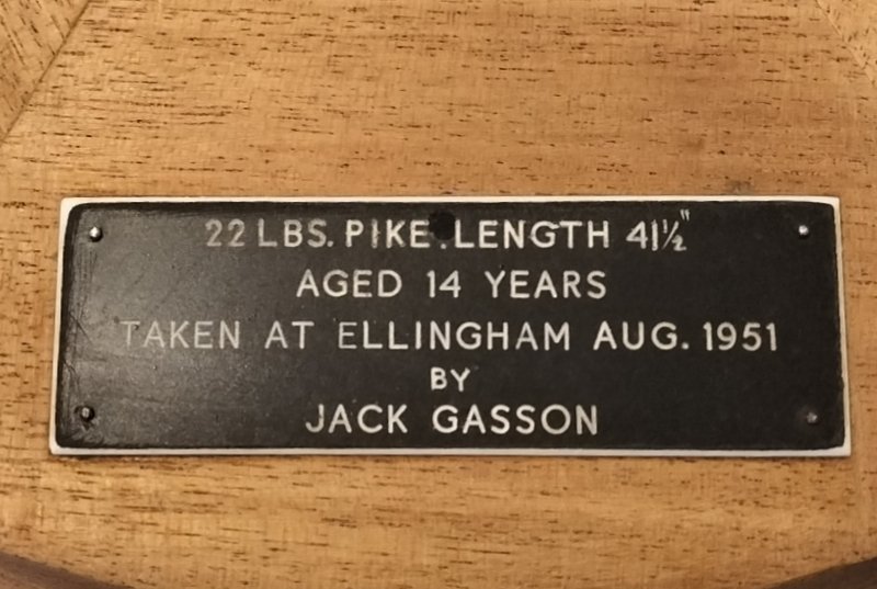 Saturday...

Just Restoring a bit of Pike History...
#pike
#Taxidermy..