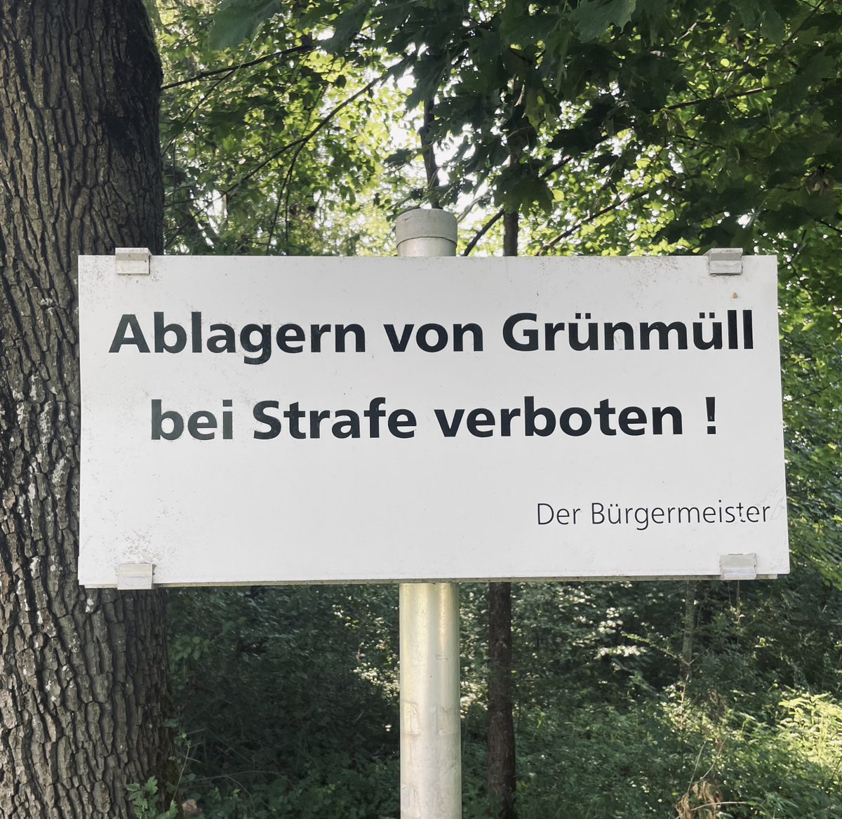 Und wieder geht's gegen die Grünen.