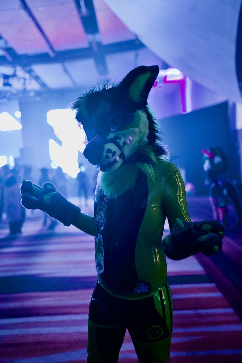 What?? Wanna come join me at the rave??
#SqueakySaturday