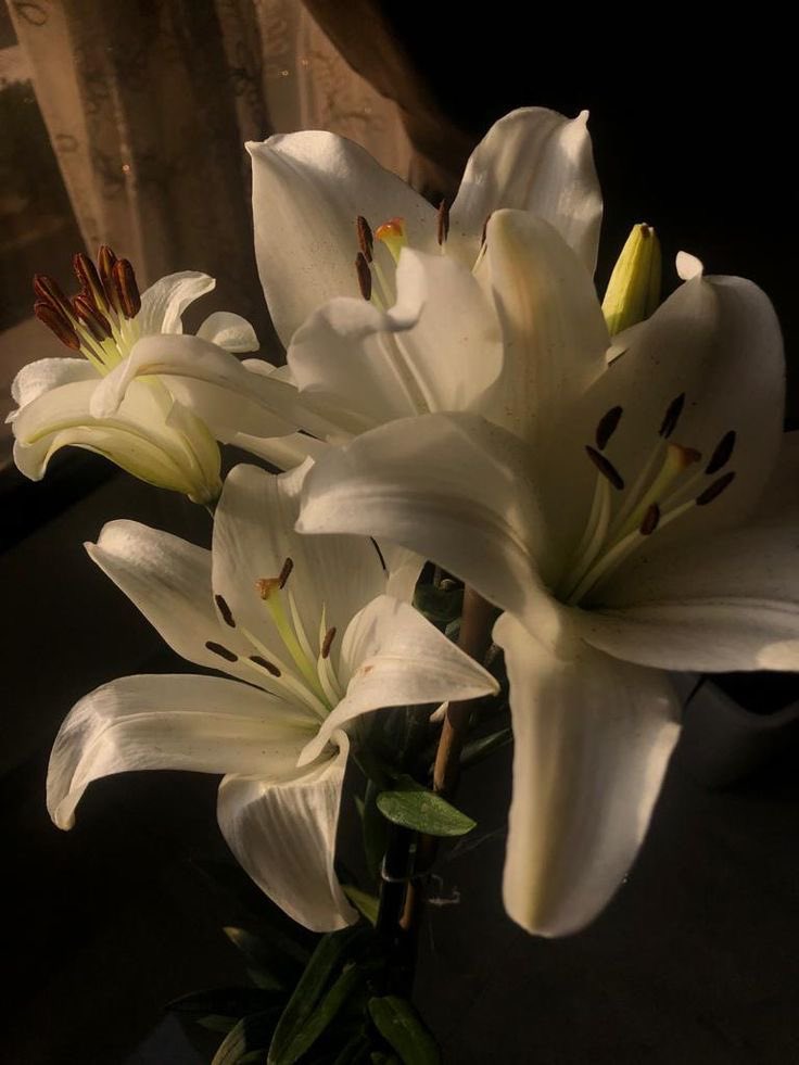 prettythikra's tweet image. 