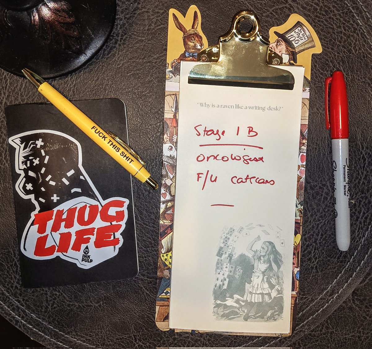 On the left, is the horror book I didn't realize I was authoring, the book &amp; pen I carried in my pocket to record what doctors would tell me. This journey started as a rare sarcoma on my right side &amp; ended up as cancer in my lung. On the right, in my terrible quick handwriting,