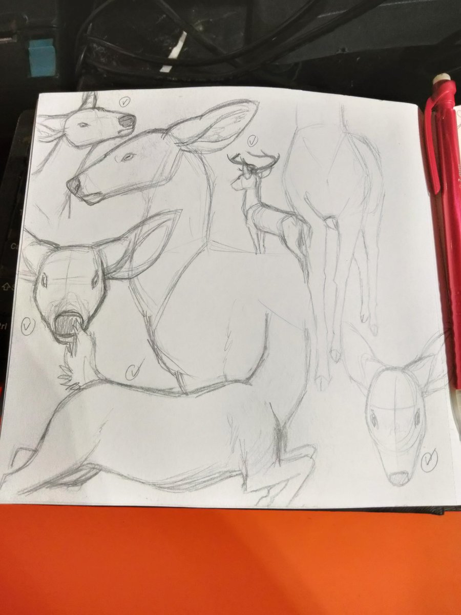 not_STAR_4_work's tweet image. Deer practice sketches at work🦌