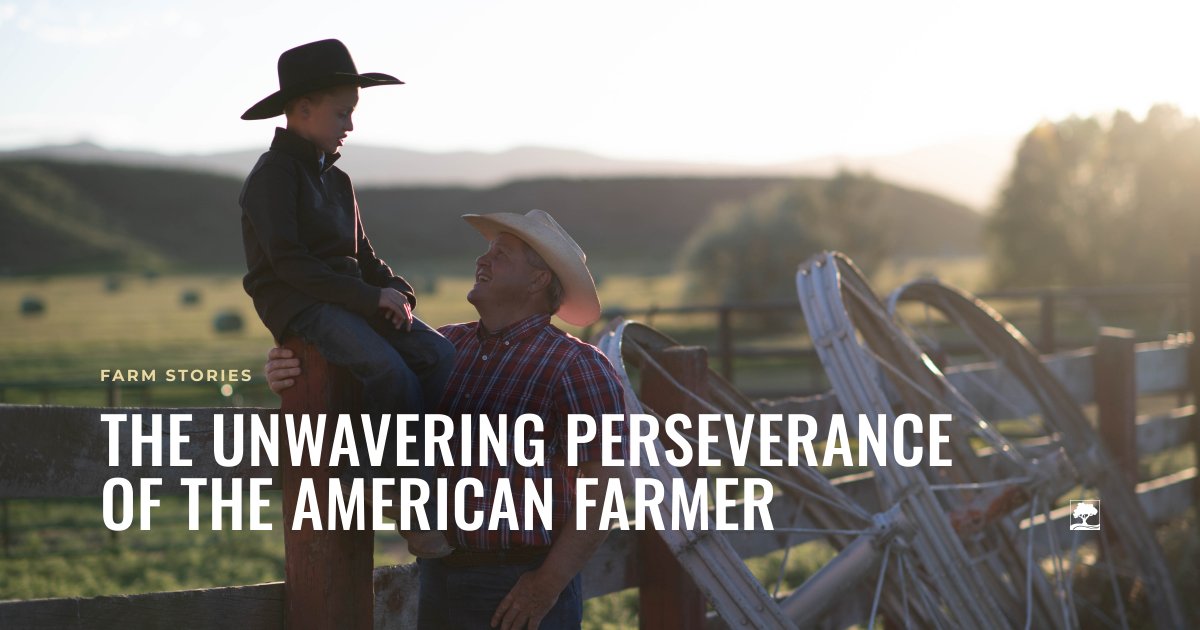 agamerica's tweet image. 🇺🇸 This #FourthOfJuly weekend, as we celebrate freedom and independence, we honor the unwavering perseverance of the #AmericanFarmer—those who work the land with grit, resilience, and heart. Their dedication fuels our nation every day. #IndependenceDay 
agamerica.com/blog/the-unwav…