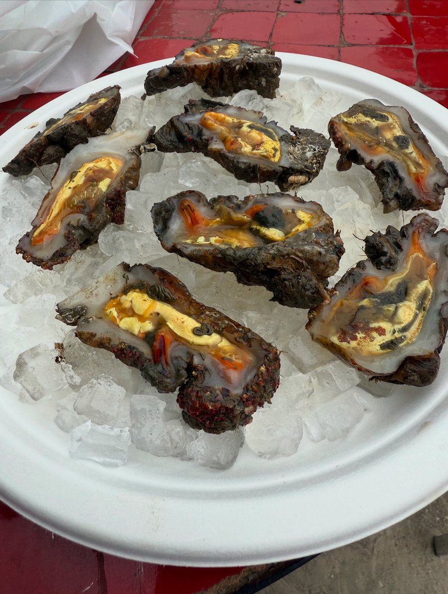 Une assiette de violets, ces délicieux coquillages typiques de notre belle Méditerranée. Le plat préféré de mon père… et un vrai délice ! Bon week-end à toutes et à tous.