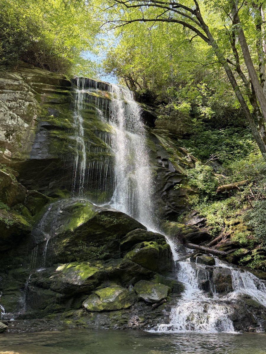 Montana Eck tweet media