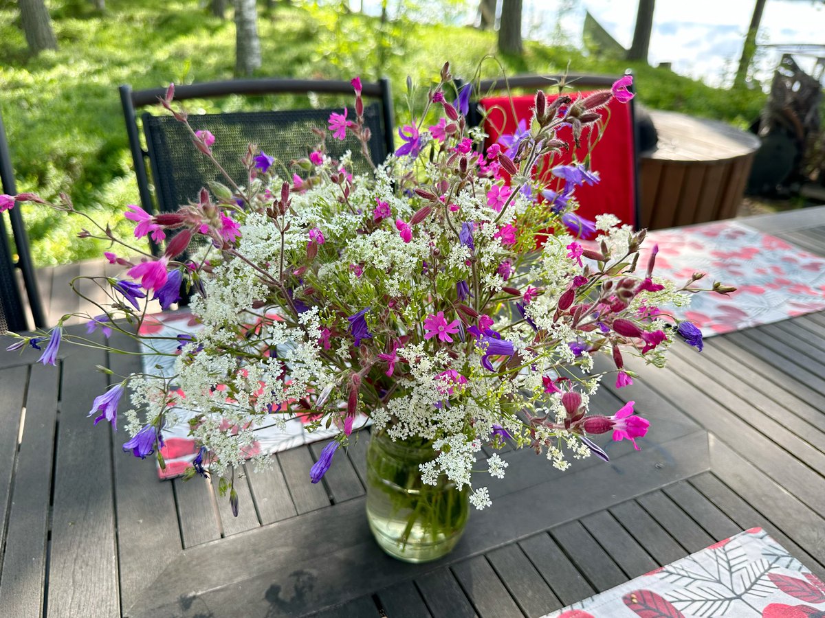soile_lahti's tweet image. Kesäloman parhautta on aamulenkin yhteydessä kerätä luonnonkukat kahvipöytään 💐