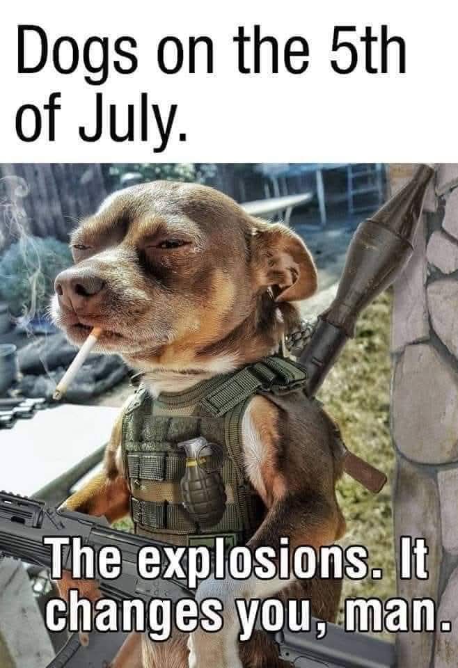 This is what Zena thinks today 😁😂