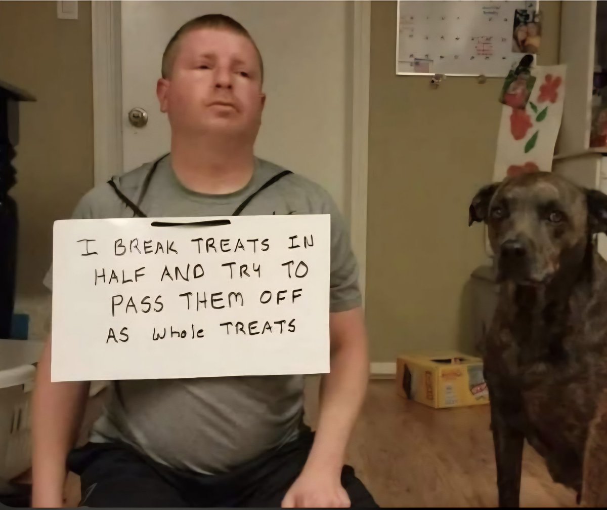 This dog needs to contact his local animal welfare department ASAP and arrange for rehoming. He cannot remain in a place that provides such substandard care. 😄