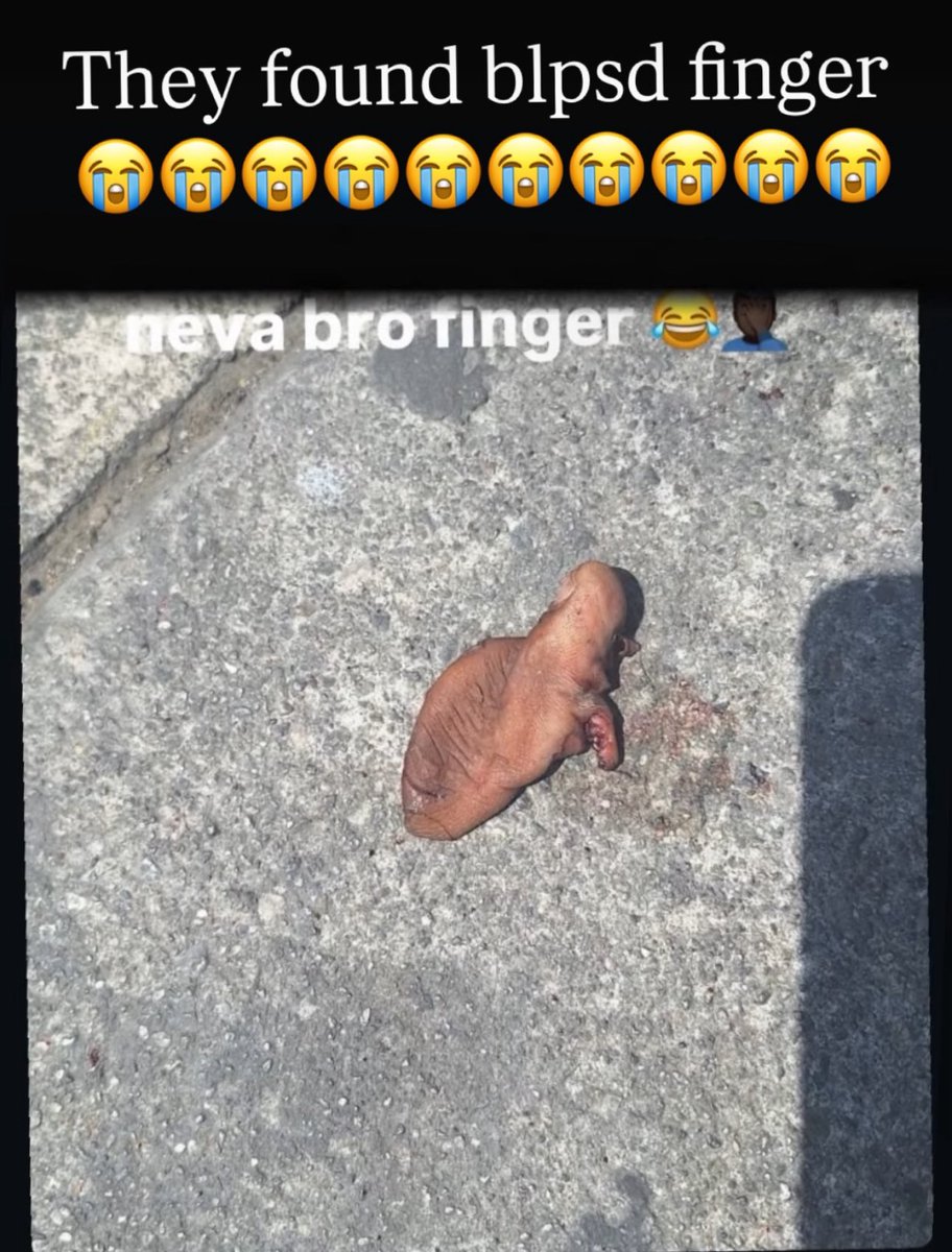 RashticReport tweet media