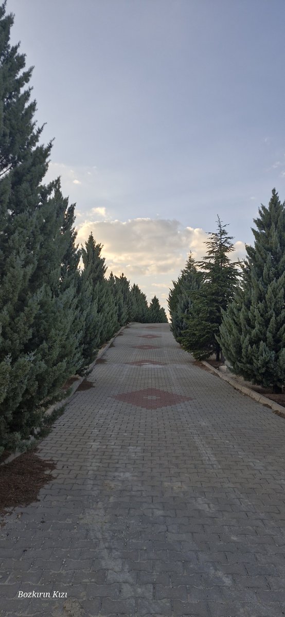 Ama yol nasıl güzel 🙂