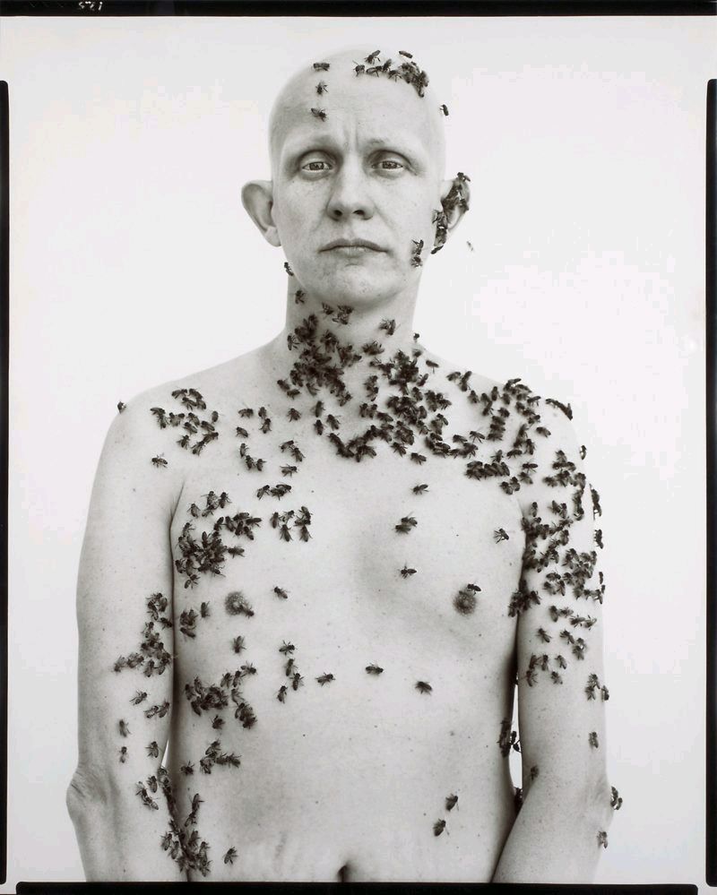 Richard Avedon’s famous beekeeper portrait – The story behind buff.ly/vCeIhrT