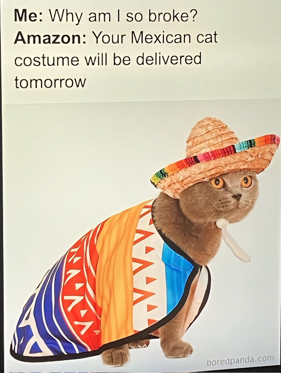 Happy Caturday, y'all!