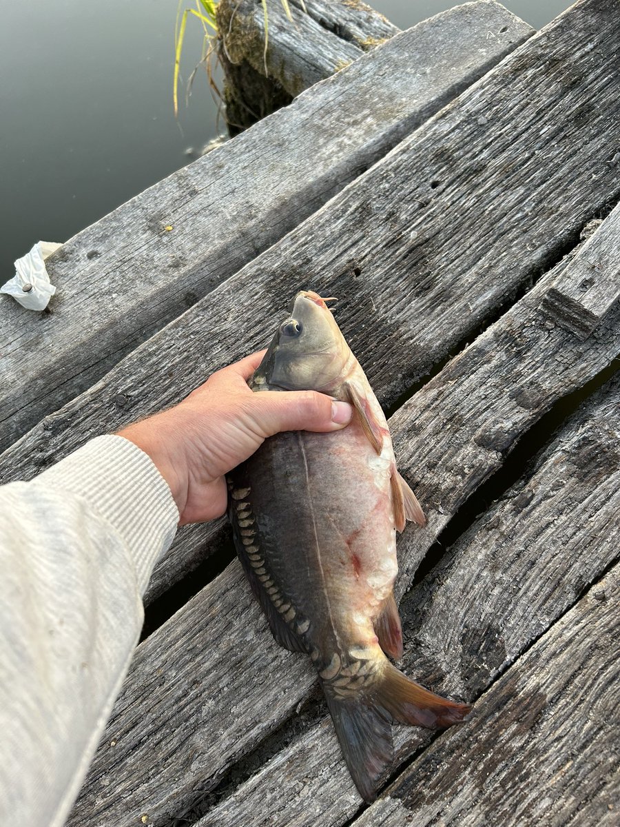 Щось мені шкода цього малюка