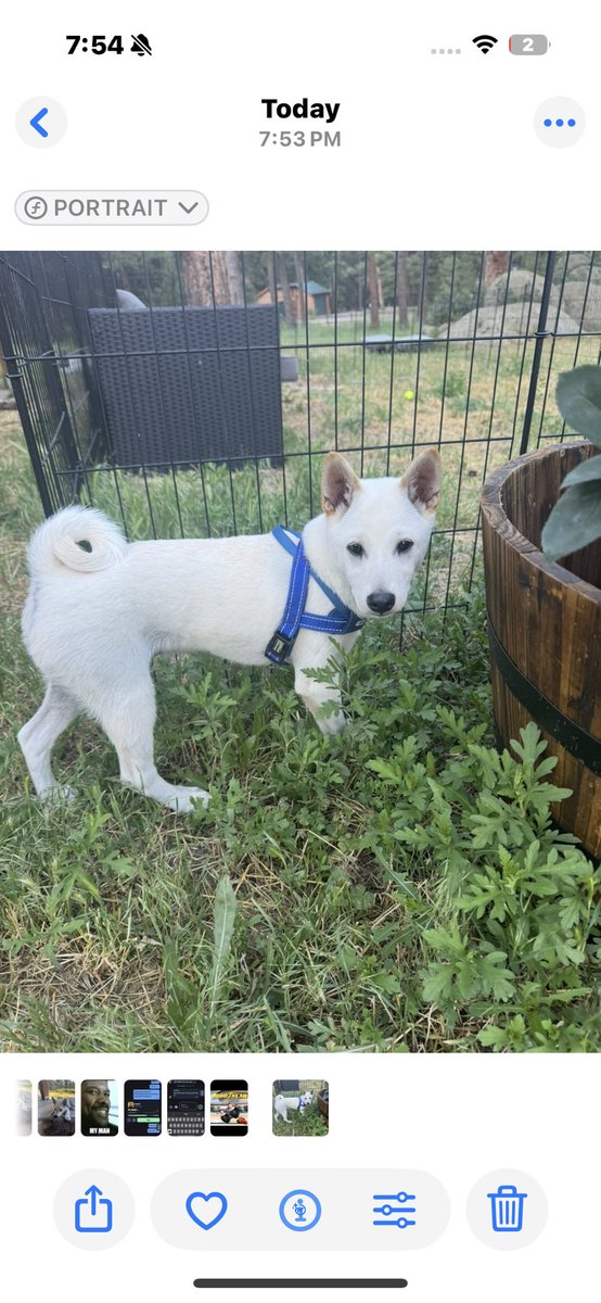 Toshi is growing!

Bro is becoming an absolute unit.