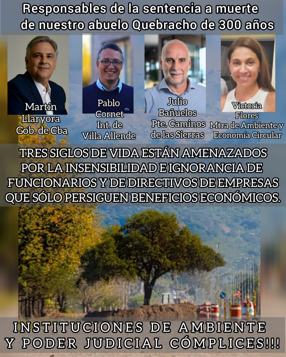 AmbientalForo's tweet photo. LA  CÓRDOBA ESQUIZOIDE
Discursos-simulacros ecológicos y políticas ECOCIDAS!
El quebracho blanco es el espejo que claramente refleja el deterioro ecosistémico de esta provincia...

#quebrachoblanco
#villaallende
#PoliticasEcocidas
#gobiernodecordoba https://t.co/tNdNSBc9Ai