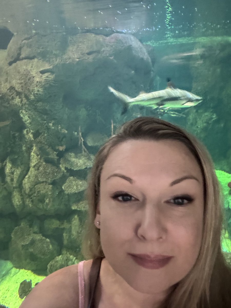 DCinTejas's tweet image. Moody Gardens 
Galveston, TX