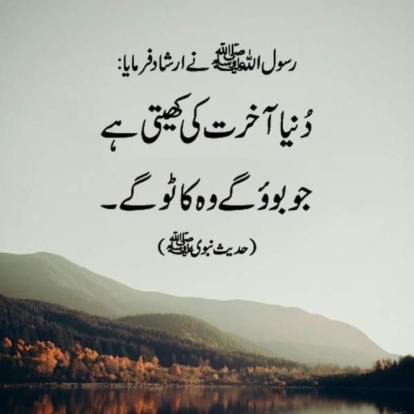S_k530 (@s_k0345) on Twitter photo In the face of lies, one man’s NO becomes a nation’s roar. Imran Khan resistance is Pakistan’s awakening.
#ڈٹ_جاو_حسین_کے_انکار_کیطرح
<a href="/LegacyLeavers_/">Team Legacy leavers</a> In the face of lies, one man’s NO becomes a nation’s roar. Imran Khan resistance is Pakistan’s awakening.
#ڈٹ_جاو_حسین_کے_انکار_کیطرح
<a href="/LegacyLeavers_/">Team Legacy leavers</a>