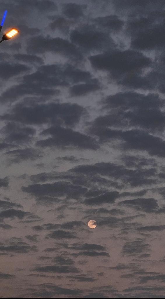 هاجر عبدالعزيز | مــصــورة جــــوال 📱✨️ tweet media