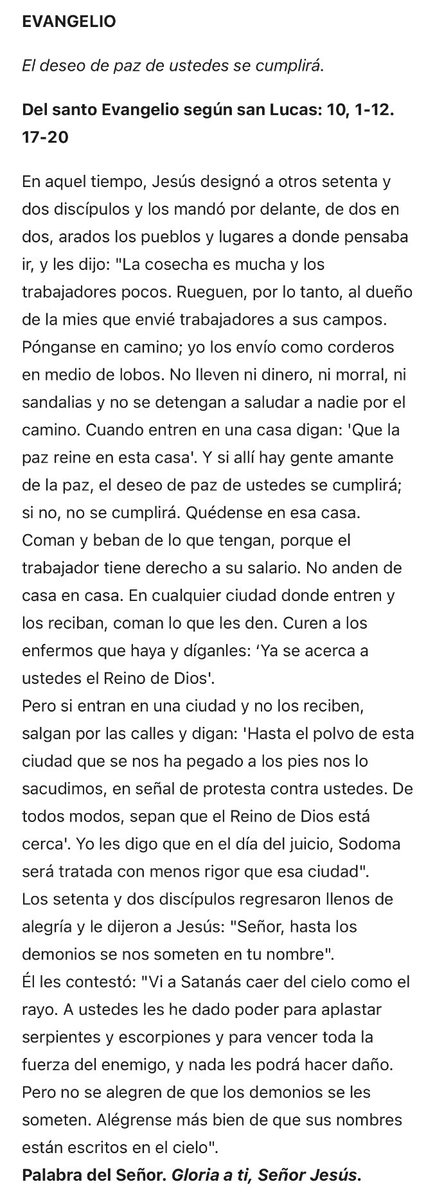 Lectura del Santo Evangelio del 6 de julio de 2025

El deseo de paz de ustedes se cumplirá.

Del santo Evangelio según san Lucas 
10, 1-12. 17-20