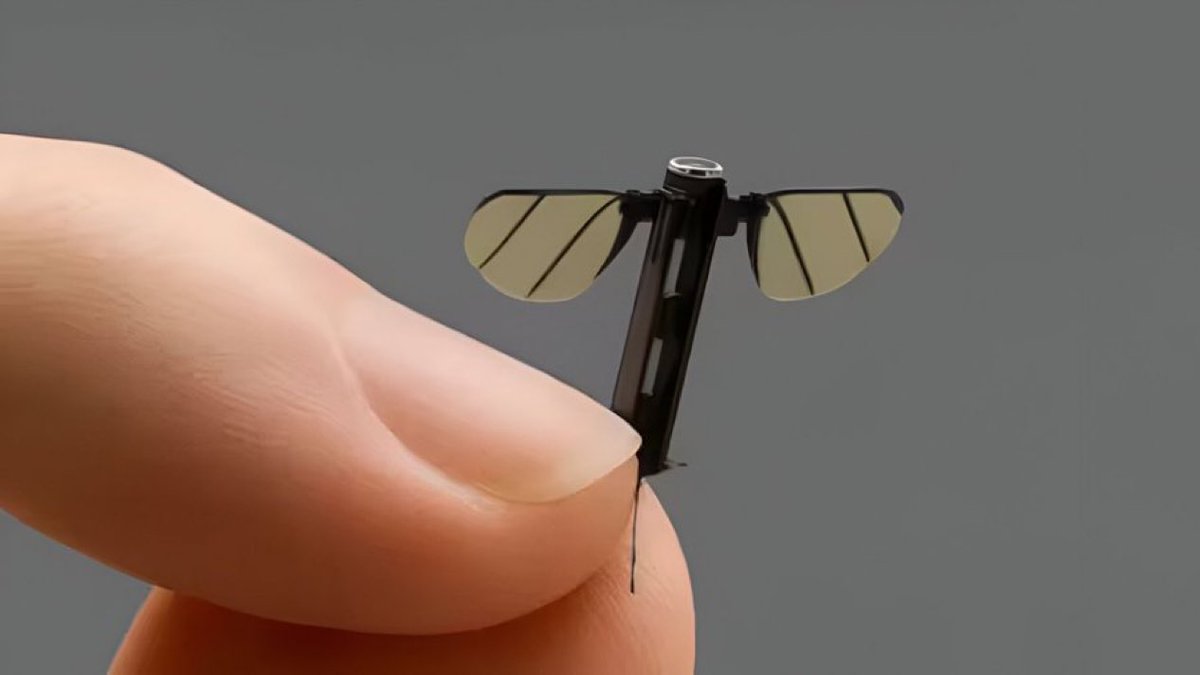 🚨 BREAKING : 🇨🇳 La Cina ha sviluppato un drone volante simile a una zanzara, progettato per missioni stealth: è solo fantascienza o realtà?