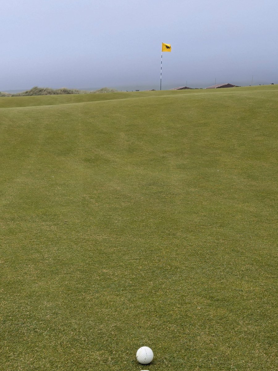 JayP (@jaypdunes) on Twitter photo Some of the Putts <a href="/MachDunes/">Machrihanish Dunes</a> are just mind-boggling... A three putt isn't always a bad result 🤣 Some of the Putts <a href="/MachDunes/">Machrihanish Dunes</a> are just mind-boggling... A three putt isn't always a bad result 🤣