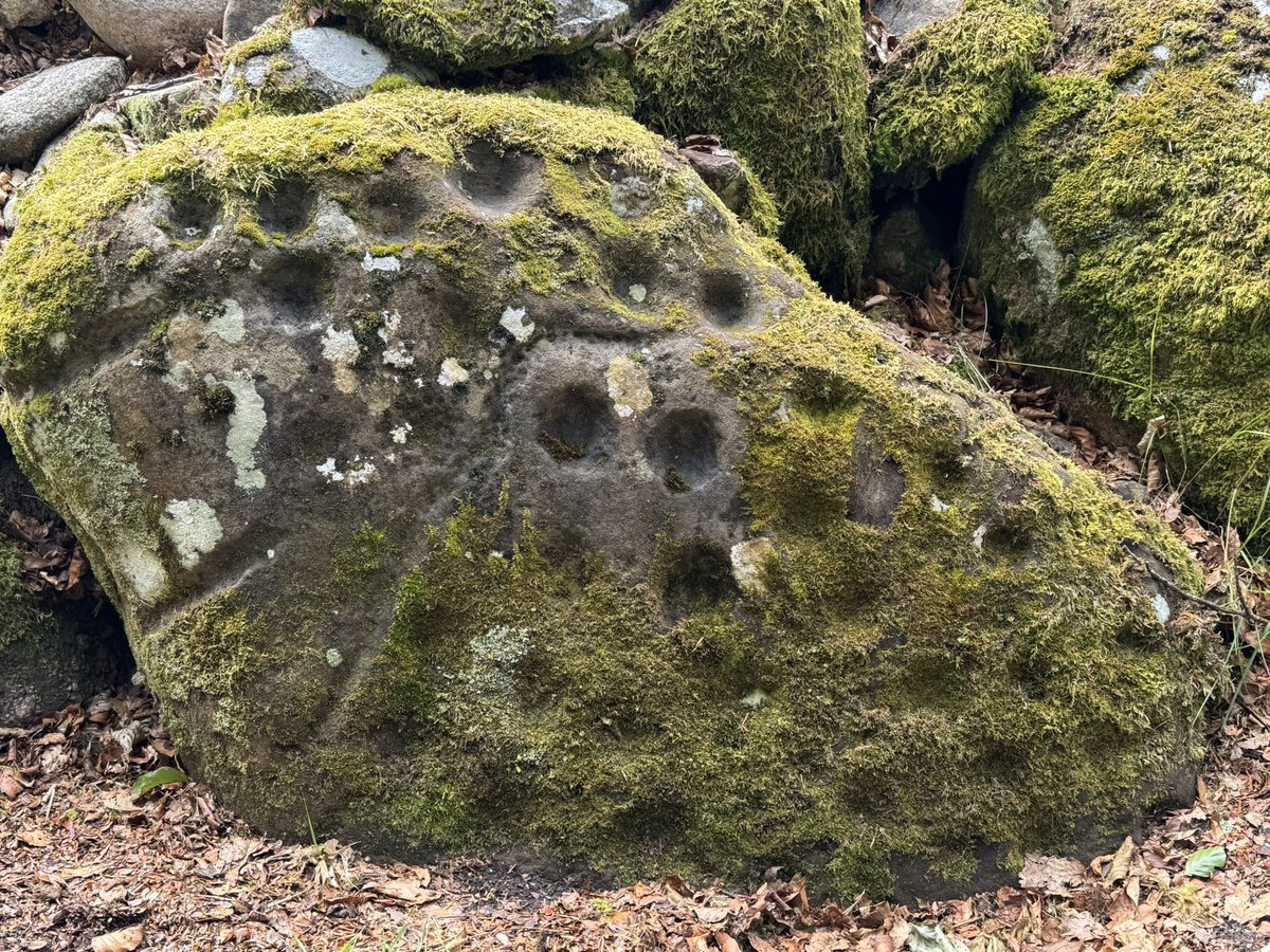 DawnLSutherland's tweet image. This is Clava Cairns, an ancient Bronze Age burial complex located near Inverness in the Scottish Highlands.

Built around 2000 BCE, the site includes three cairns, each surrounded by standing stones and aligned with the winter solstice sunset.

Some stones are carved with…