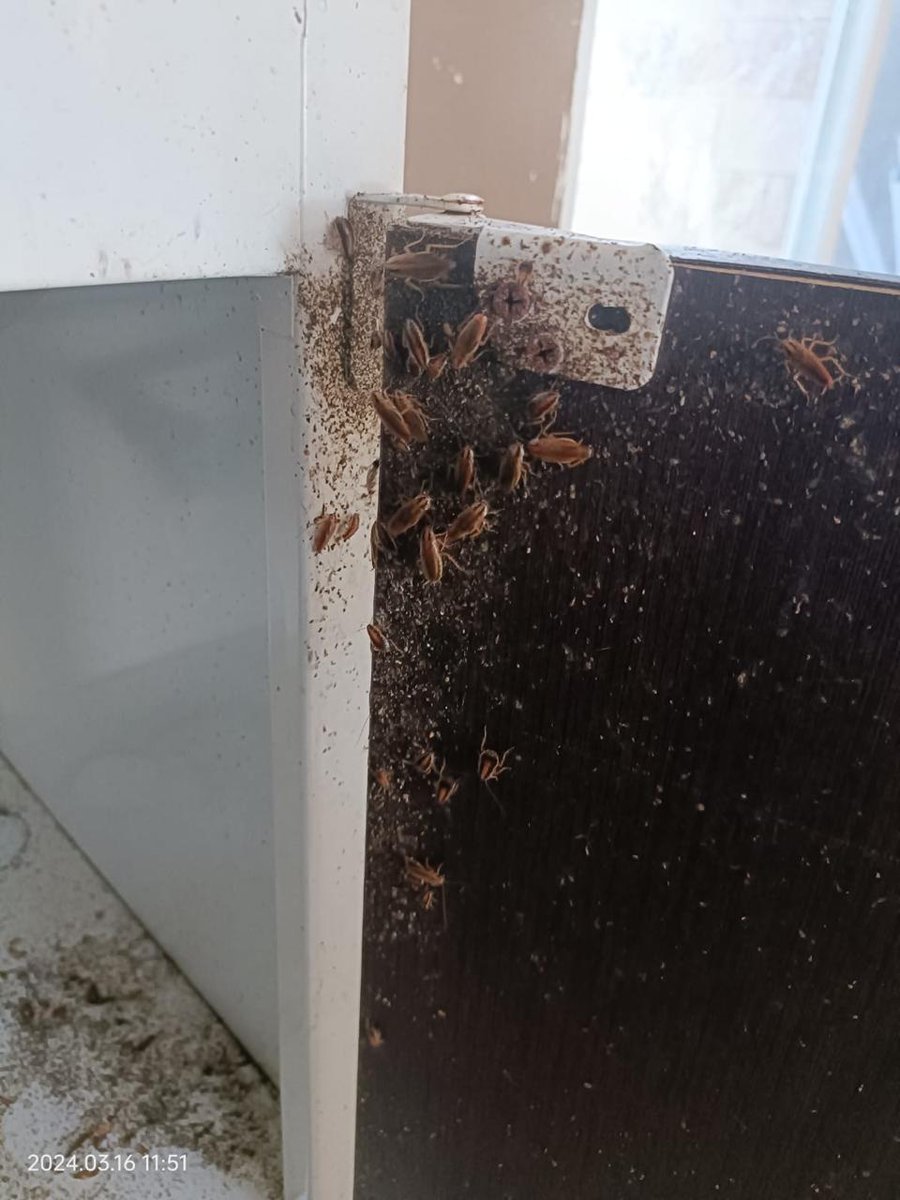 Rbb_ochy's tweet photo. Agua con sus servicios @CrumpR_Martha . Se fue en Abril 2025 sin pagarme 4 meses, sin pagar servicios y dejando mi casa contaminada de cucarachas y moscas, y en muy mal estado. Tuve que tirar todo. 
Me dejó una deuda de $60M.
Imaginen qué calidad de servicios podría ofrecer https://t.co/DyN1lGdjpn