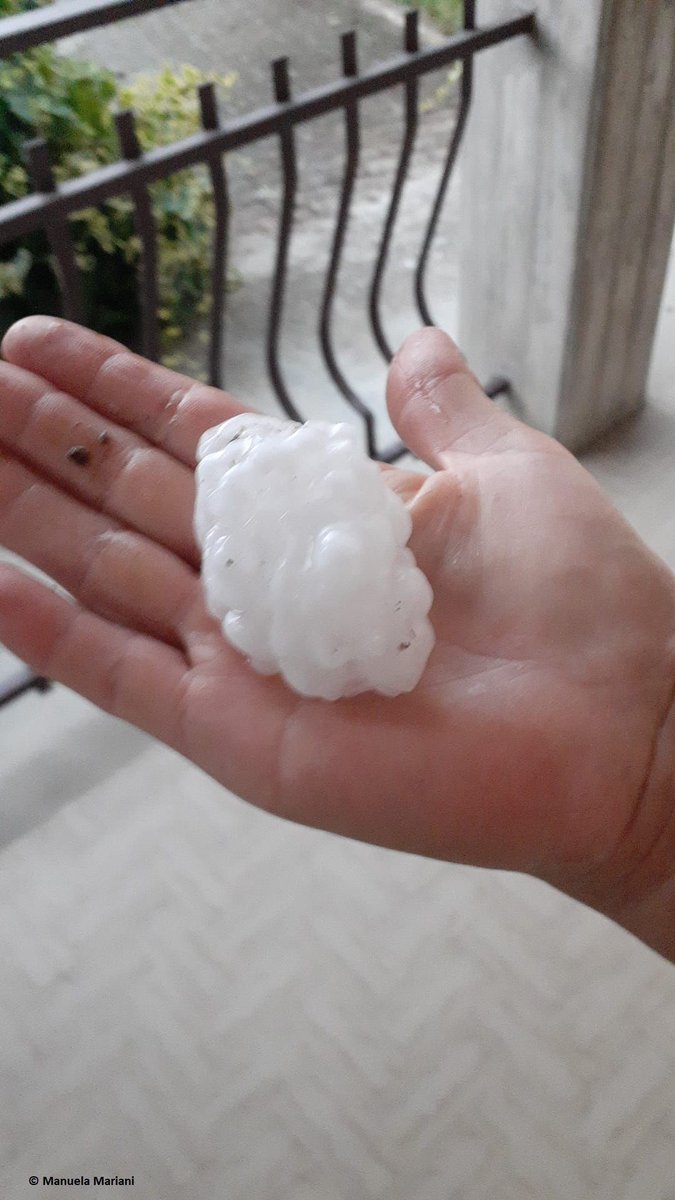 Some more very large hail for Italy today, the day before the day(s). In the hilly parts of the Cuneo and Forlì-Cesena provinces