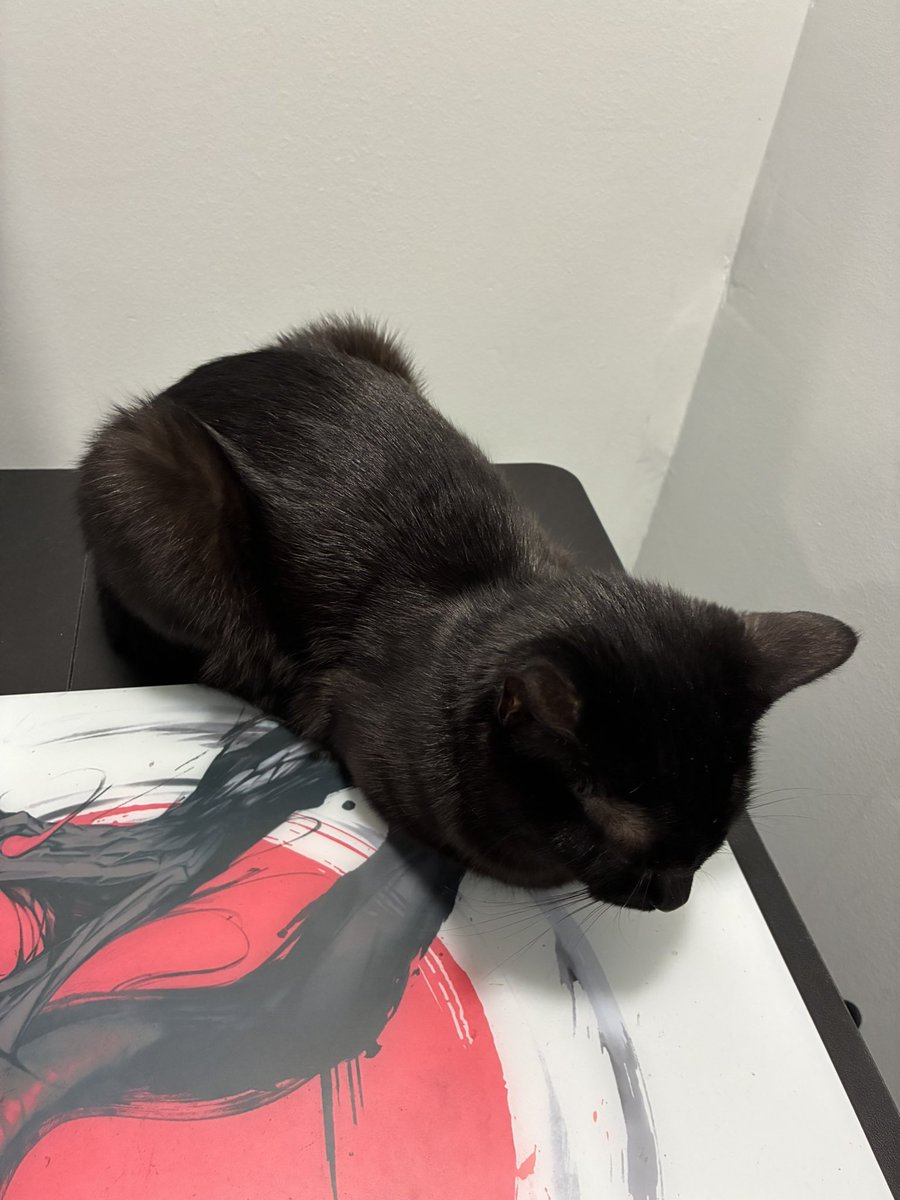 rrewnd's tweet image. guess i’m not the only ones that likes the life &amp;amp; death pad