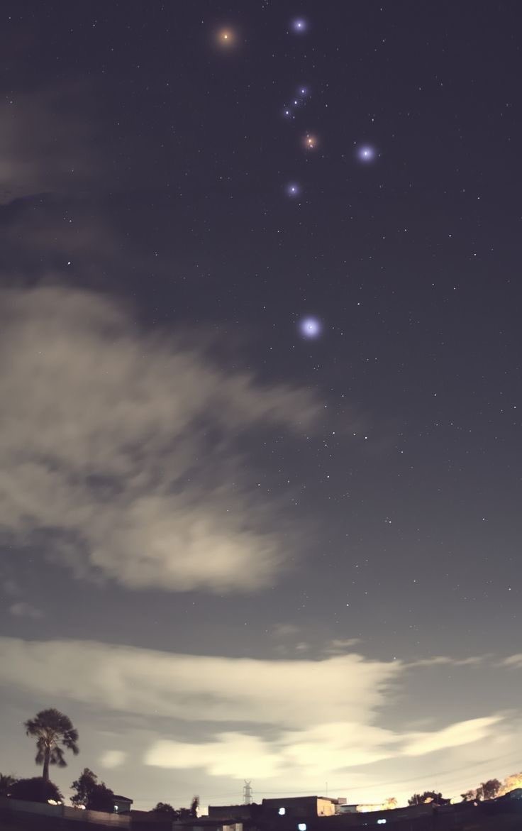 forallcurious's tweet photo. Orion, Mars, Sirius and Jupiter 🌌 https://t.co/tNyoGoA3yZ