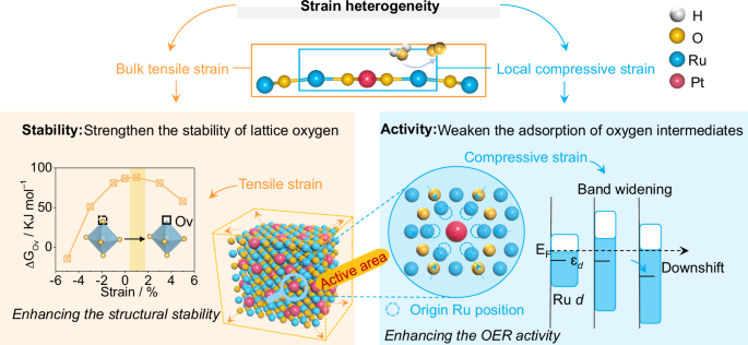 Strain heterogeneity in RuO2 for efficient acidic oxygen evolution reaction in proton exchange membrane water electrolysis nature.com/articles/s4146…