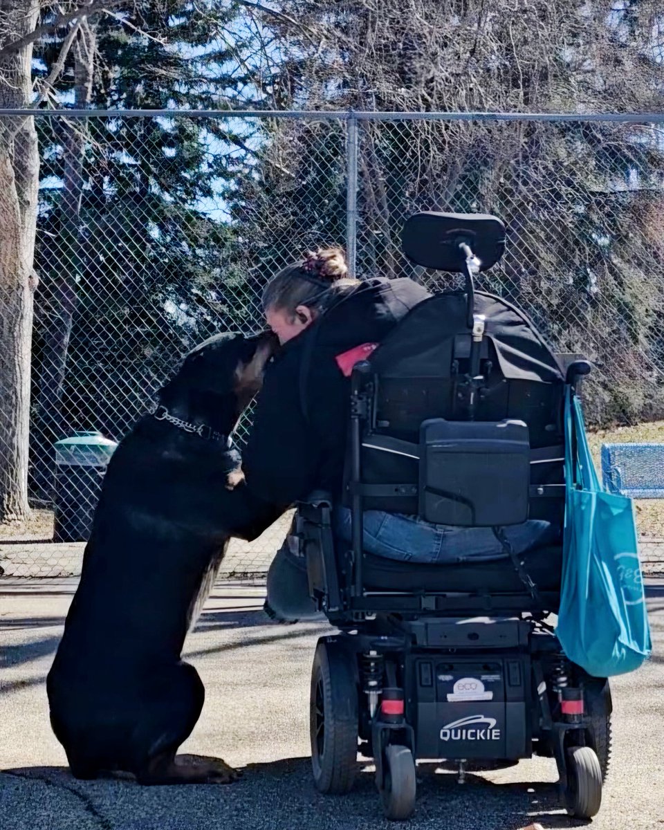 Admin post:
I don't have a lot of self confidence. I struggle to advocate for myself (though I'll go to bat for others in a heartbeat), and I'll often struggle immensely before asking for help. I fear conflict. Big time. I often feel like I don't have much to offer the world.