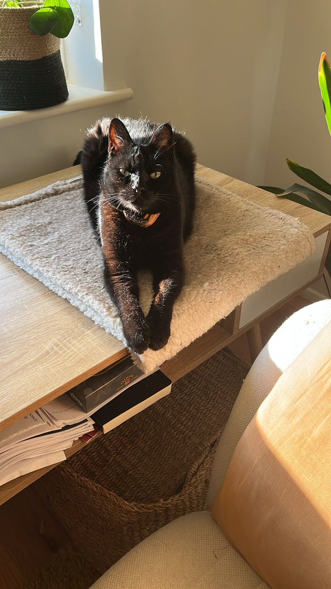 'I see you're back...'