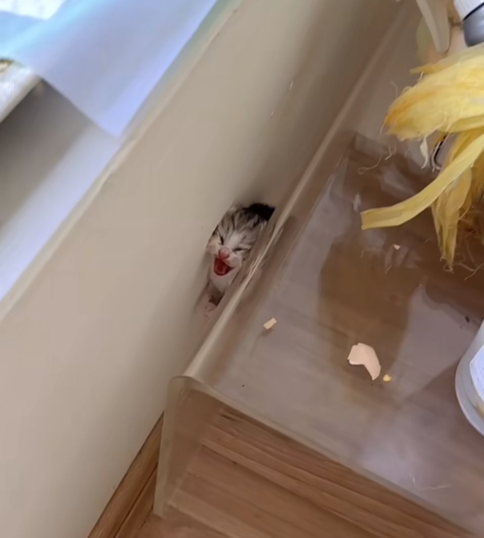 me stuck between her thighs realizing i bit off more than i can chew and I'm 0.0574 seconds away from my skull exploding like a watermelon