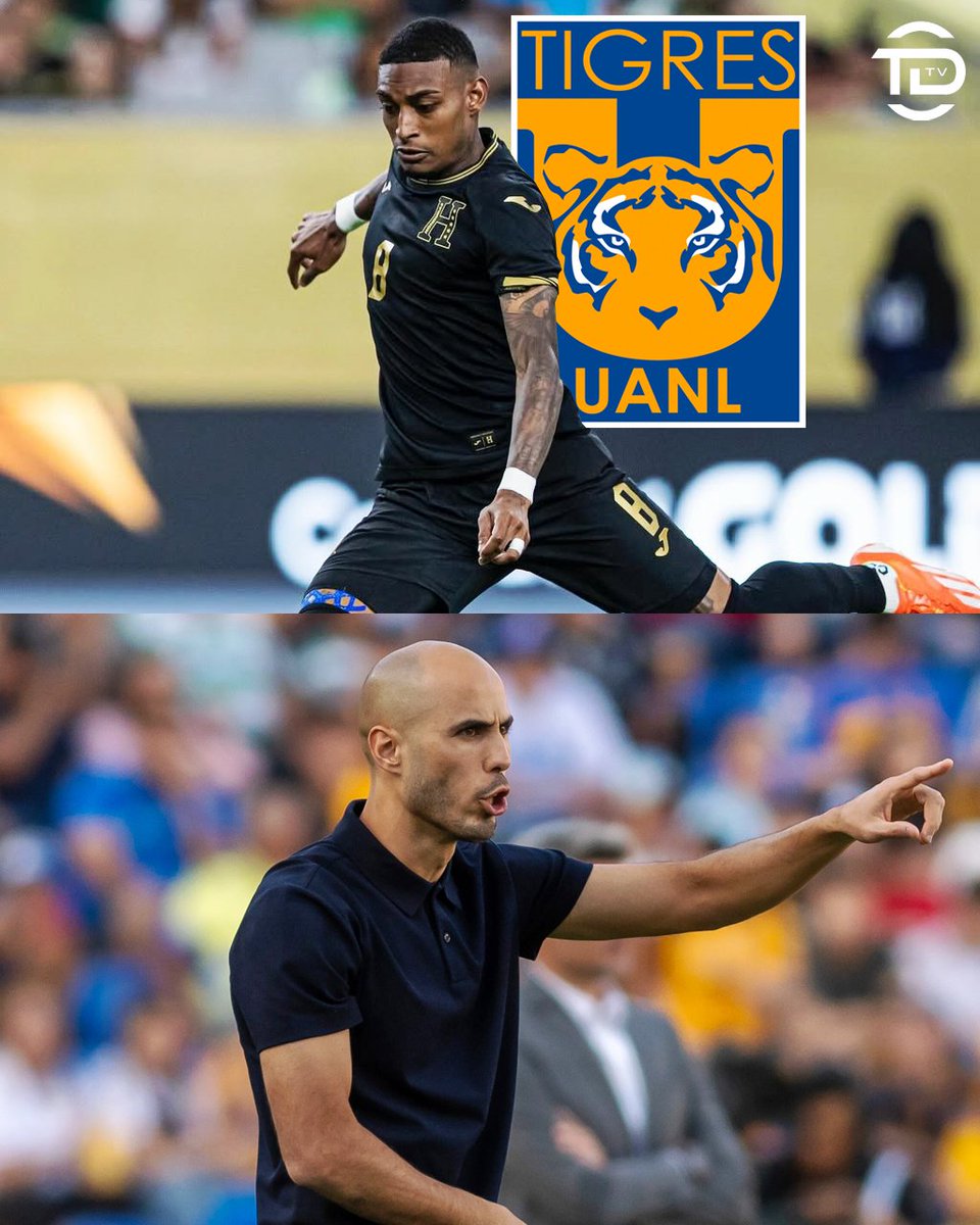 Guido Pizarro: "Joseph Rosales sí es una de las opciones. No tenemos un defensor zurdo y tenemos que incorporar. Ojalá que se pueda resolver por una o por otra lo más pronto".

El técnico de Tigres🐅🇲🇽 confirma el interés de fichar a Joseph Rosales🇭🇳