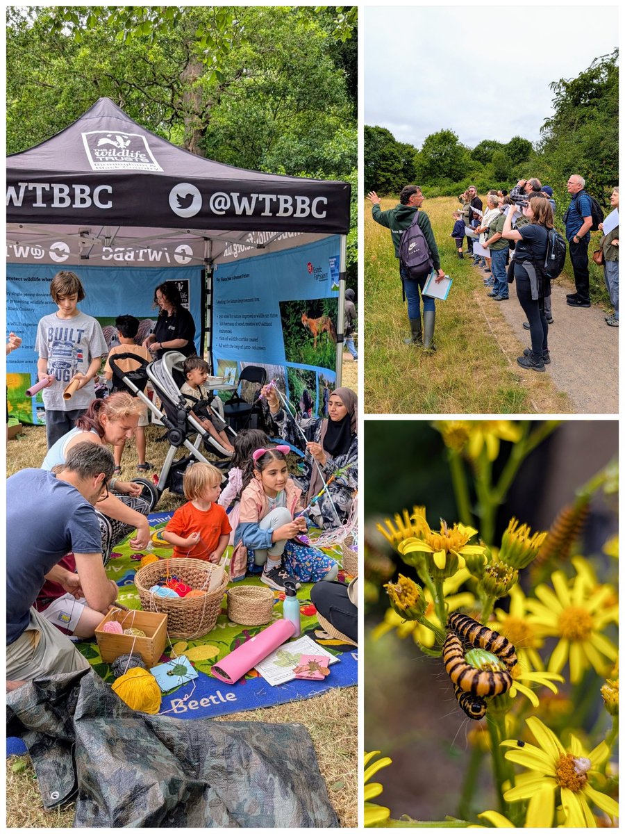 Thanks to all who joined us for our Open Day at Moseley Bog! From birdwatching walks and bug hunts, to print making, den building and Tolkien tours, we had such a fantastic time connecting all of you with this wonderful wild oasis - a haven for wildlife and a sanctuary for people