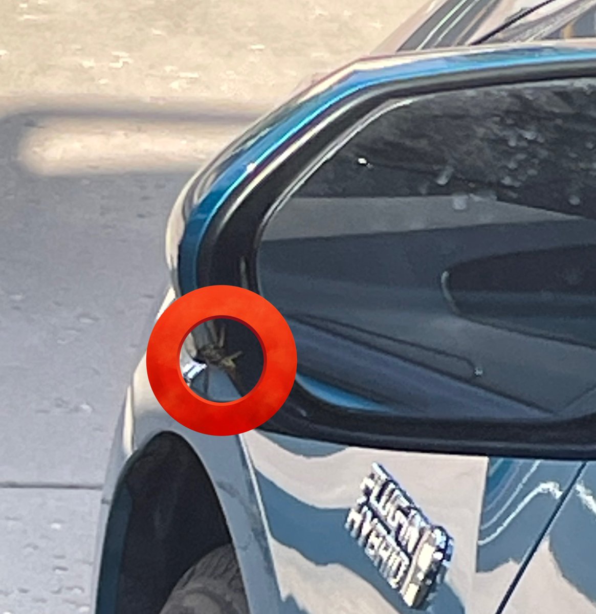 Plot twist, some survived!