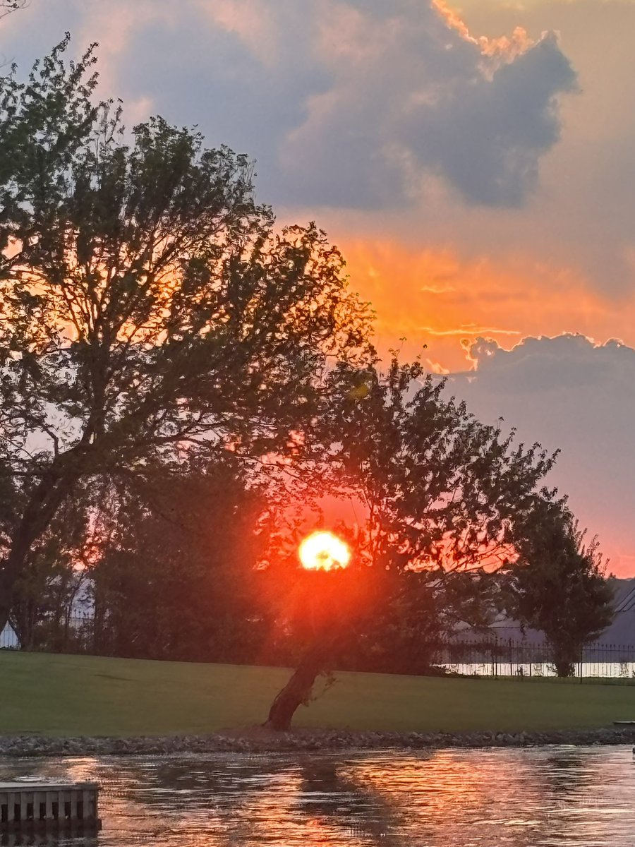 Amelia Stephens tweet media