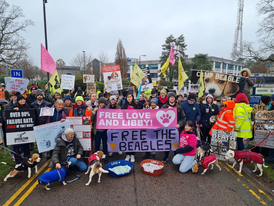 shazstratford64's tweet image. All together we asked that they free Love and Libby, who made it out of MBR. No longer pathogen free, but no, Cambs Cops gave them back to MBR, signing their death warrants !! They could have saved them, they had a choice ...........