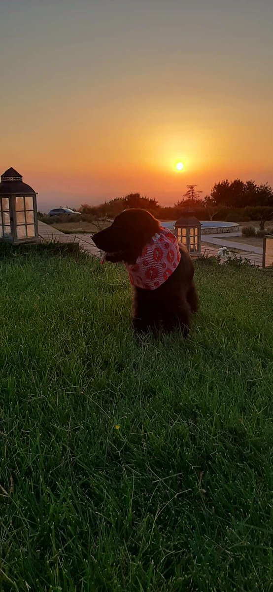 Quando c'è chi ruba la scena al tramonto!