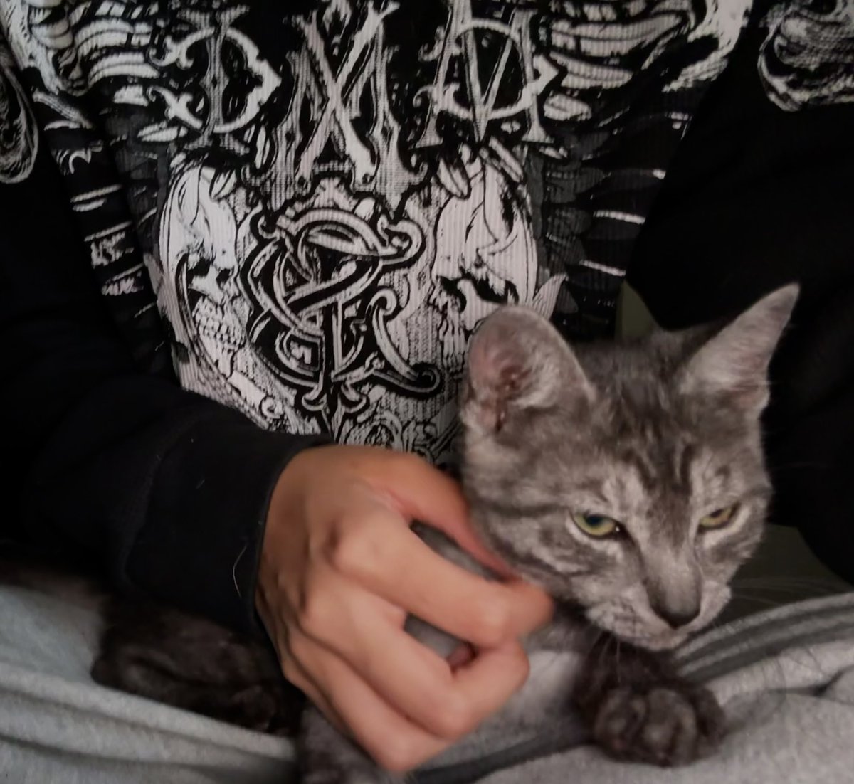 kryptnbf's tweet image. he bites