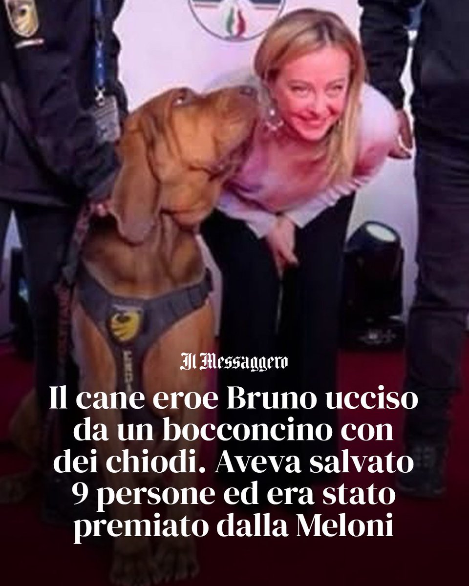 Una notizia che stringe il cuore. Un atto vile, codardo, inaccettabile.

Grazie per tutto ciò che hai fatto, Bruno.
