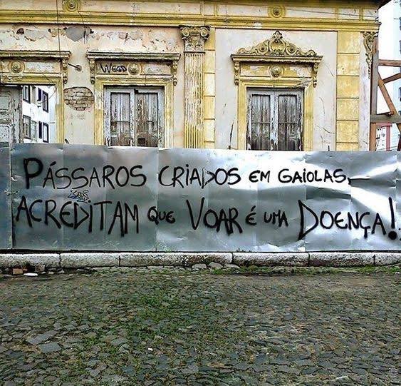 Isso não é sobre pássaros!