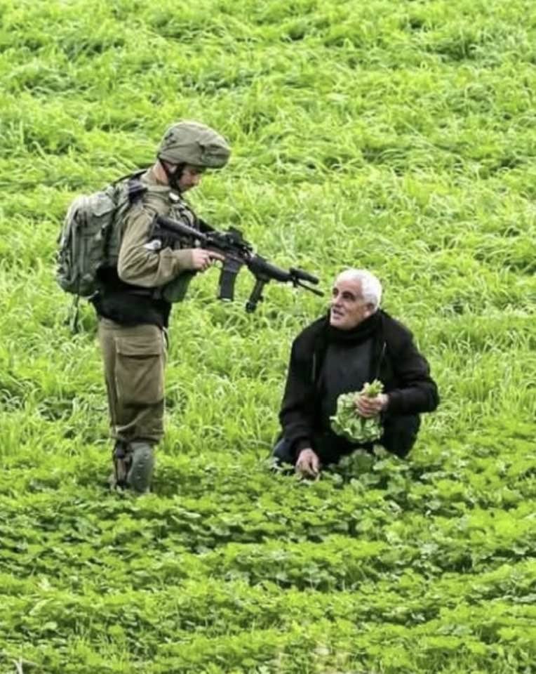 Another day under the U.S.-backed Israeli occupation