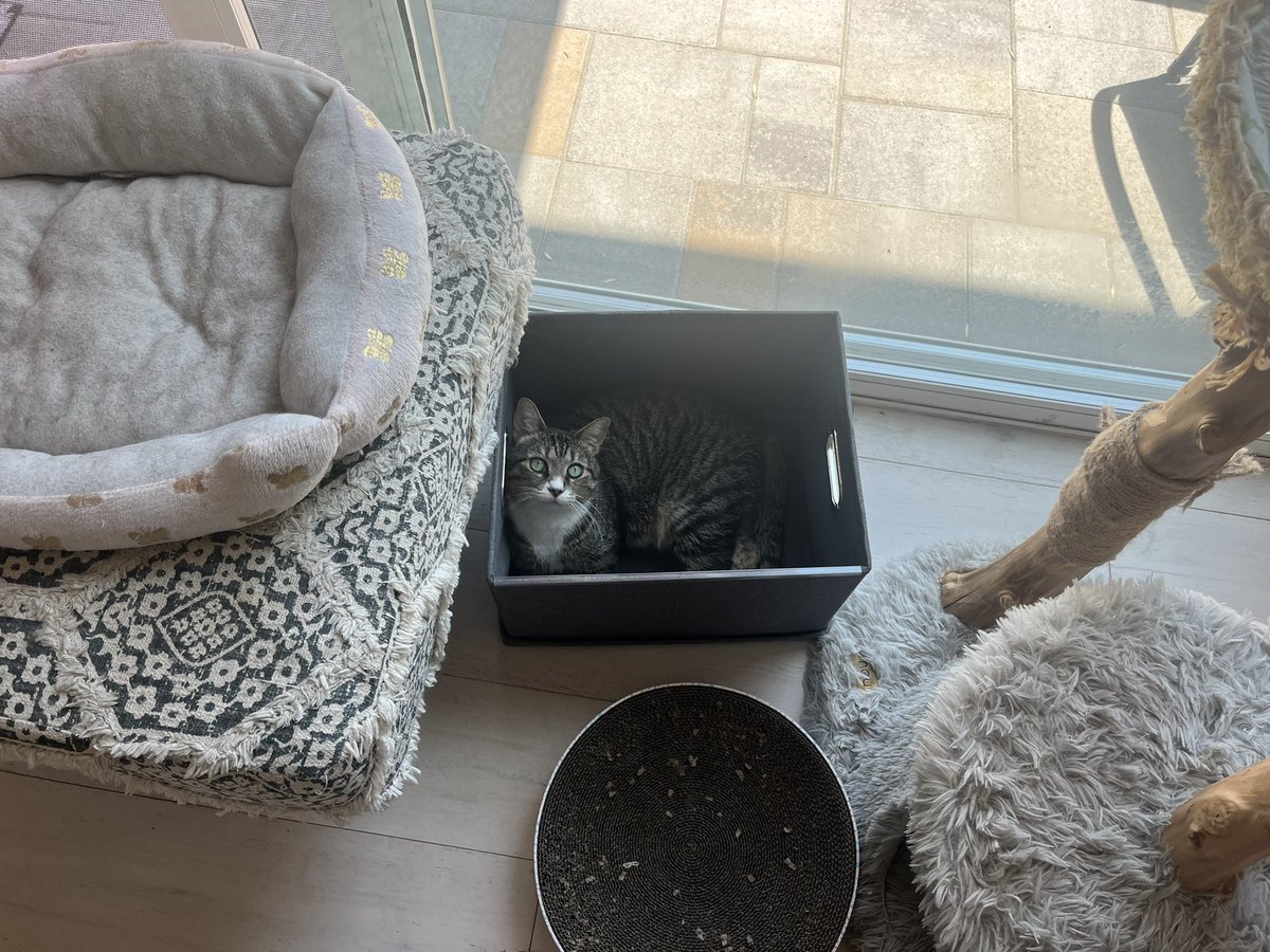 KlawWrld (@kawhi_ring) on Twitter photo 