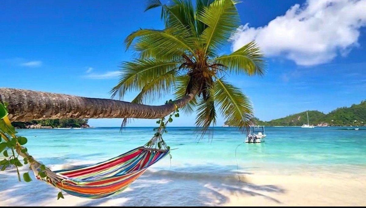 Good morning 😎

Follow along as i document #bitcoin adoption in #Haiti, Latin America, Africa and developing countries.

Want to support? Consider follow my page and visiting our store for fresh #Bitcoin merch.
(\_/)
( •_•)
/ &gt;👕 
libertyequalityfraternitybitcoin.com

#BTC Onward 🧡🌍🦾