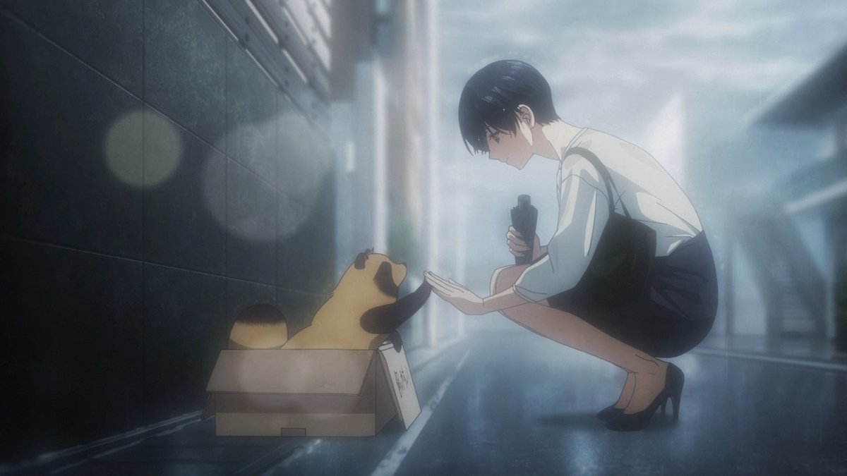 HomemBoga's tweet photo. Ame to Kimi to é o tipo de anime que eu mais amo, ele é relaxante e agradável, além de ter uma dinâmica fofinha entre a Fuji e o tak.. Digo, cachorrinho. Pensa num bichinho adorável, a interação desses dois é maravilhosa. Adorei a estreia! https://t.co/O3E2gt2KXk
