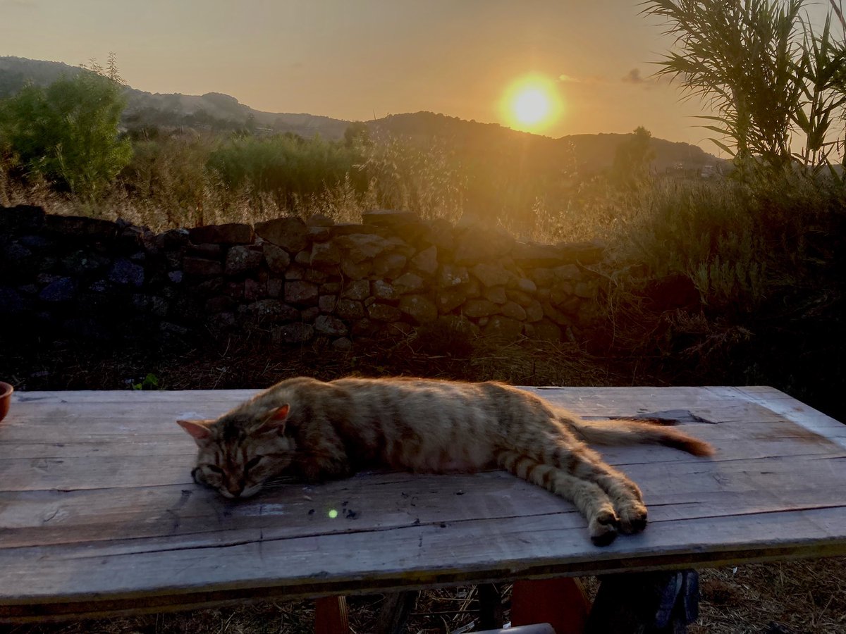 PapperPapp's tweet image. 