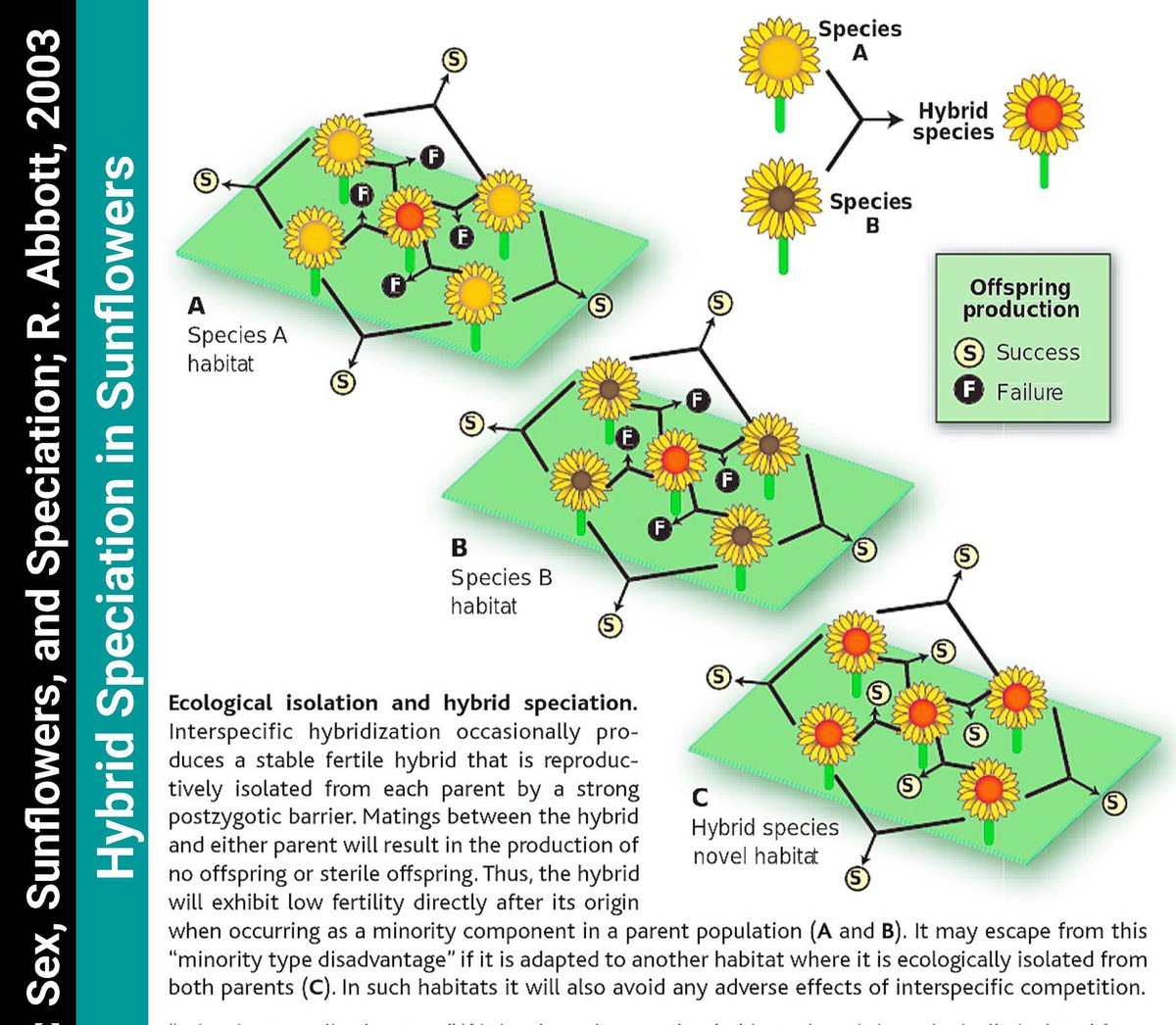 Call Me Emo tweet media